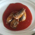 Poisson maquereau en conserve dans une sauce tomate Chili chaud